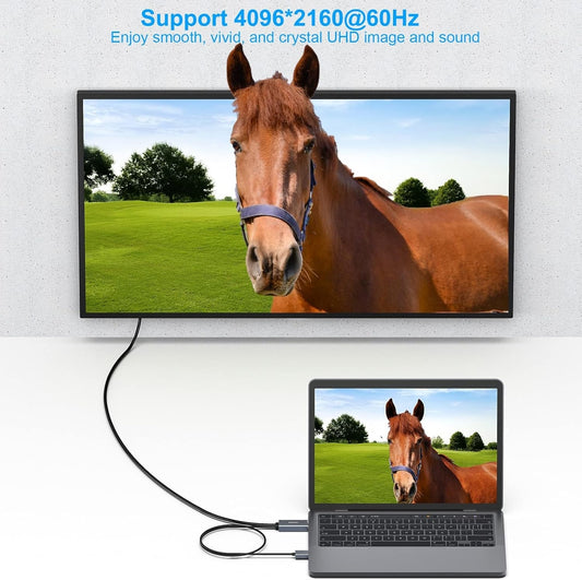 BENFEI HDMI to DisplayPort Cable, 1.8M (6 Feet)
