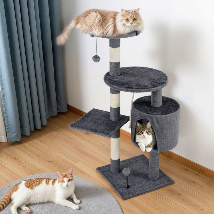 Cat Supplies