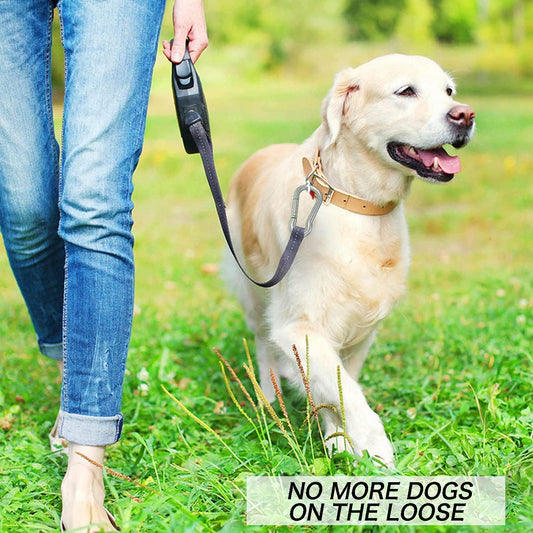 Buckle - M6 buckle - Suitable for hiking, camping, fishing, dog leashes, etc. - 60mm - Can bear 70kg - 10 pieces (not suitable for climbing)