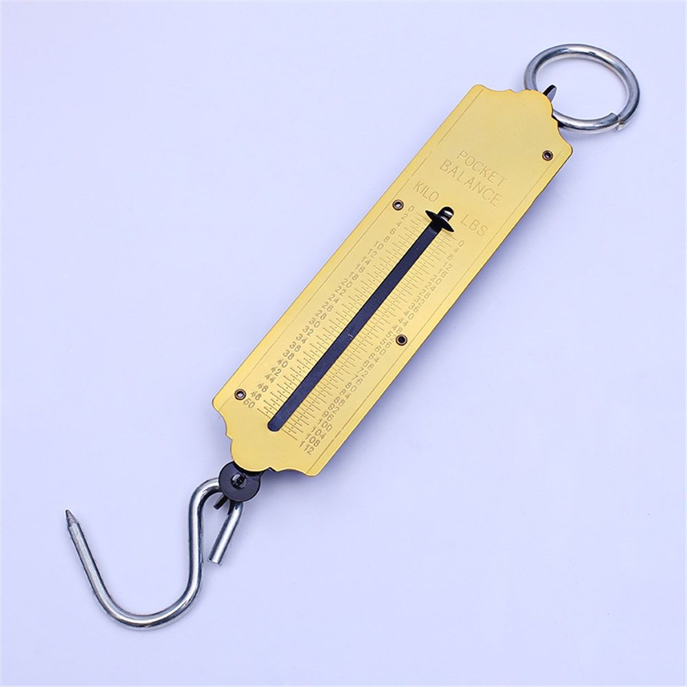 Pocket Spring Balance | max. 50 kg Fishing Scale with Hook Portable Mechanical Luggage Scale Weight Scale Auto-Off Function for Household, Shops, Luggage, Travel, Fishing, Outdoors