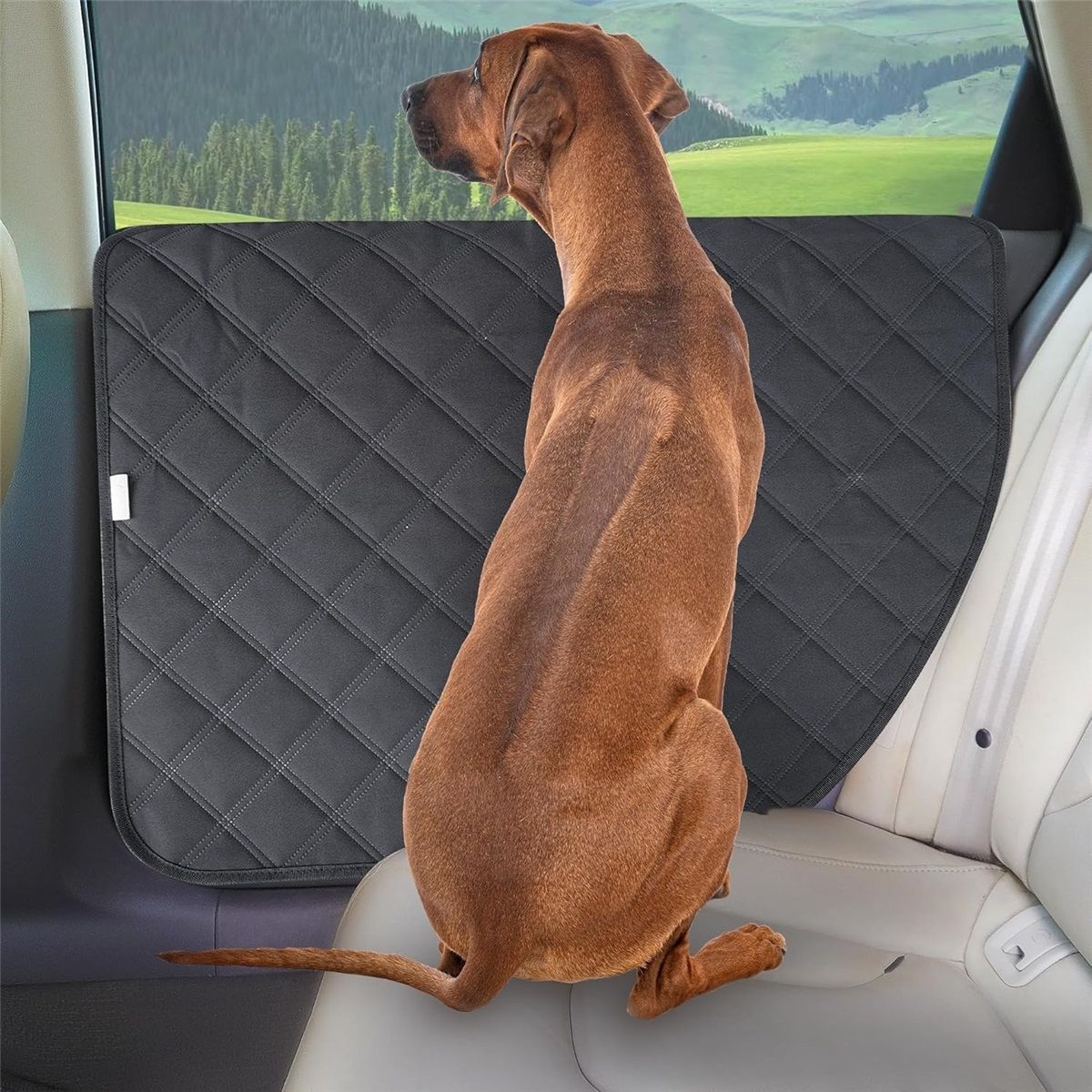 A pair Dog Car Door Protector – Larger Design for Trucks & Large SUVs, Thickened Waterproof Door Panel Covers, Protects Doors from Dog Scratching