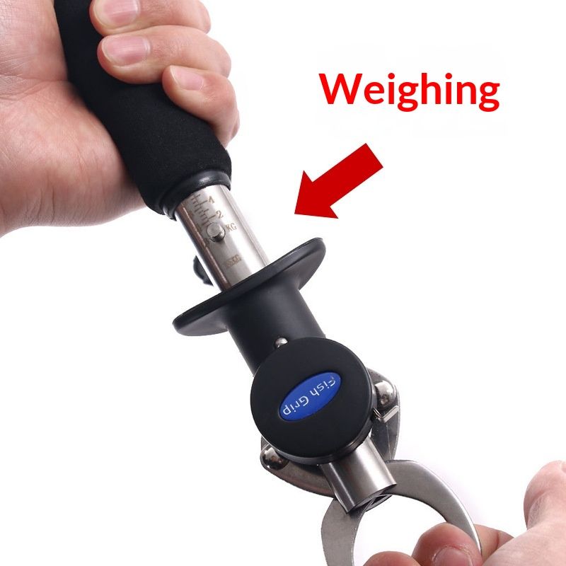 Fish Lip Gripper with Weight Scale and Measuring Tape Fish Scales Grip Grabber Professional Fish Holder Stainless Steel Fish Lip Grabber Fish Lip Grip Tool