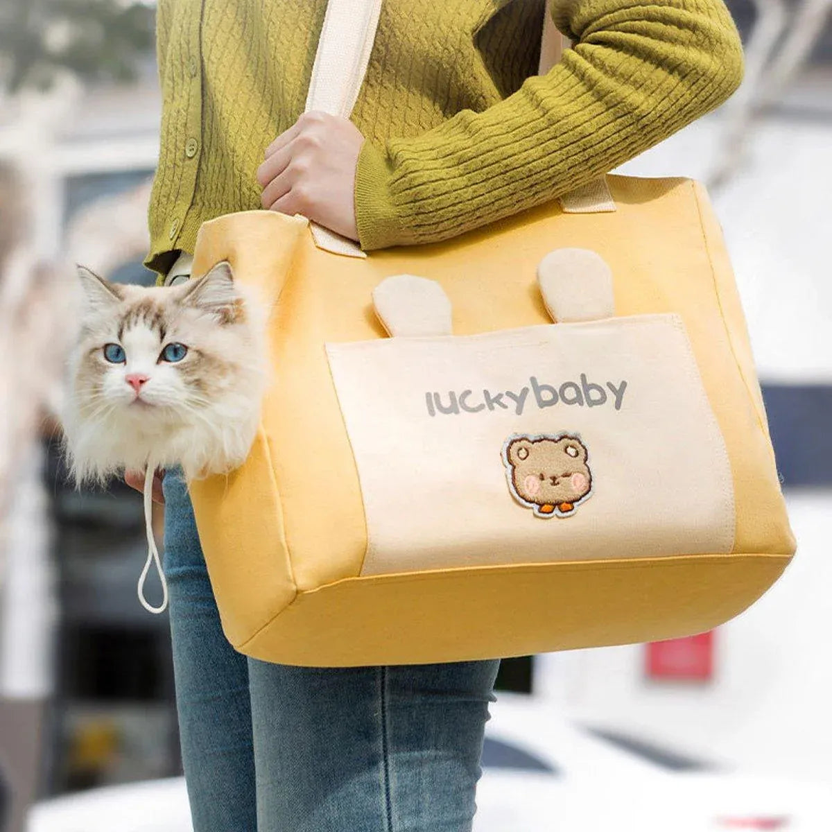 Portable Breathable Adjustable Crossbody Pet Carrier Bag Large Capacity for Pet - Green
