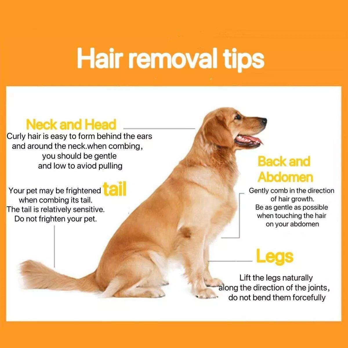 Pet Hair Removal Brush Deshedding Tool for Cats Dogs Grooming Comb Fur Remover - Purple