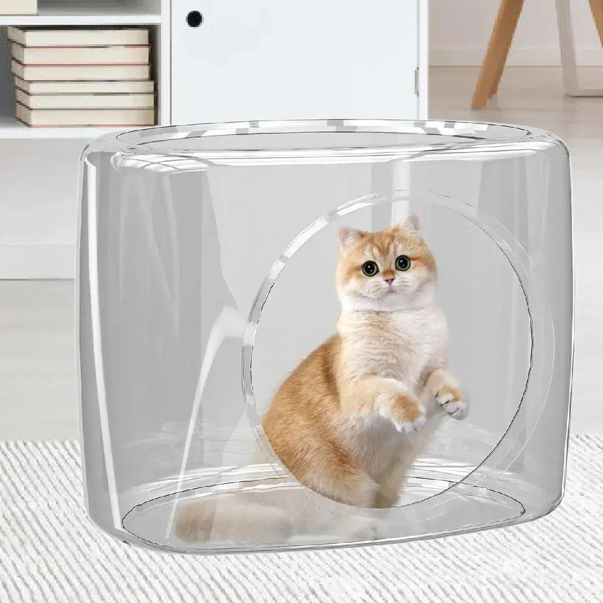 Transparent Capsule Cat Litter Box Semi Enclosed Cat House for Indoor Use