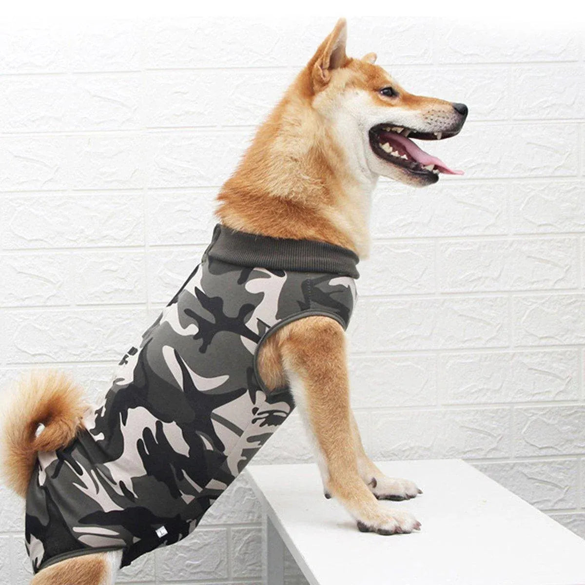 Dog Recovery Suit Anti-Lick Wound Protector Pet Clothing Post-Surgery Belly - Stripes-XL