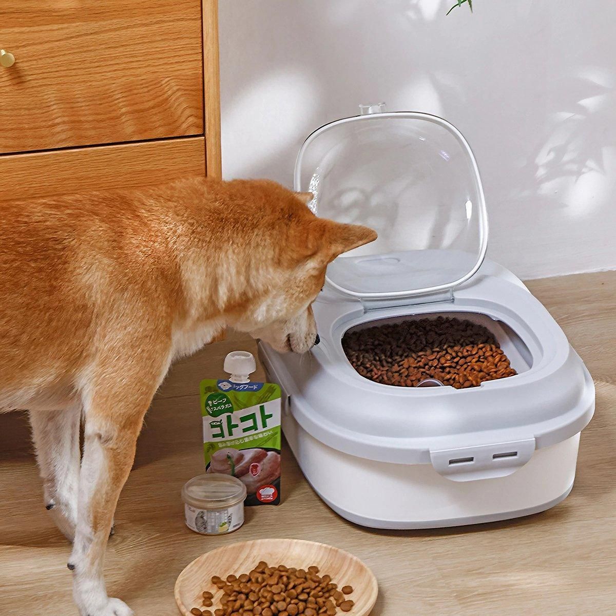 Large Capacity Pet Food Storage Box Foldable Design with Seal Lid - Green