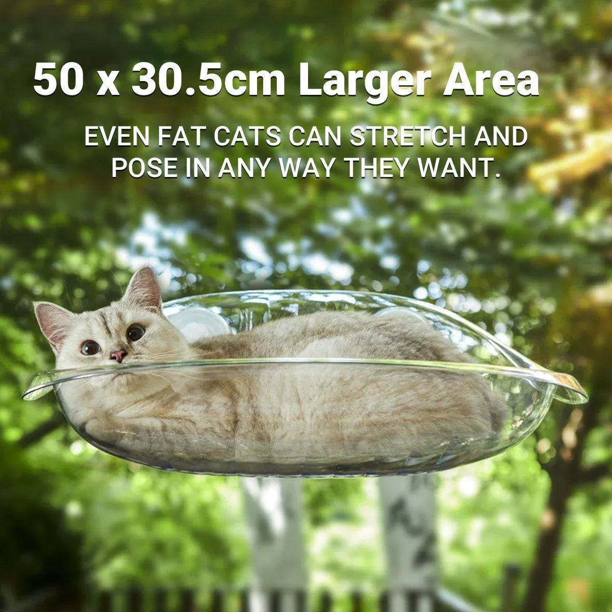 Cat Hammock Bed Glass Hanging Basket Clear Pet Nest Elevated Sleeping Bed - White
