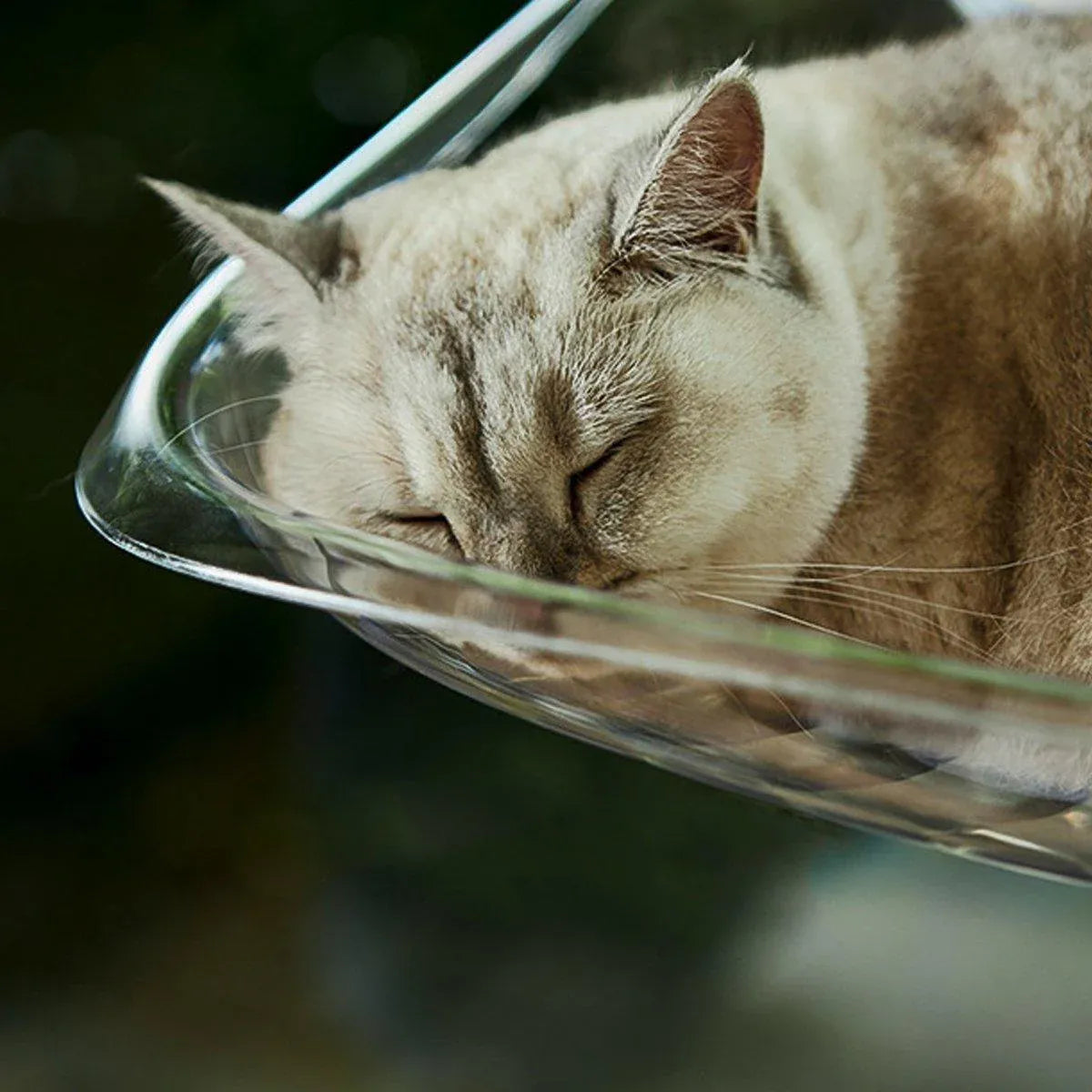 Cat Hammock Bed Glass Hanging Basket Clear Pet Nest Elevated Sleeping Bed - White