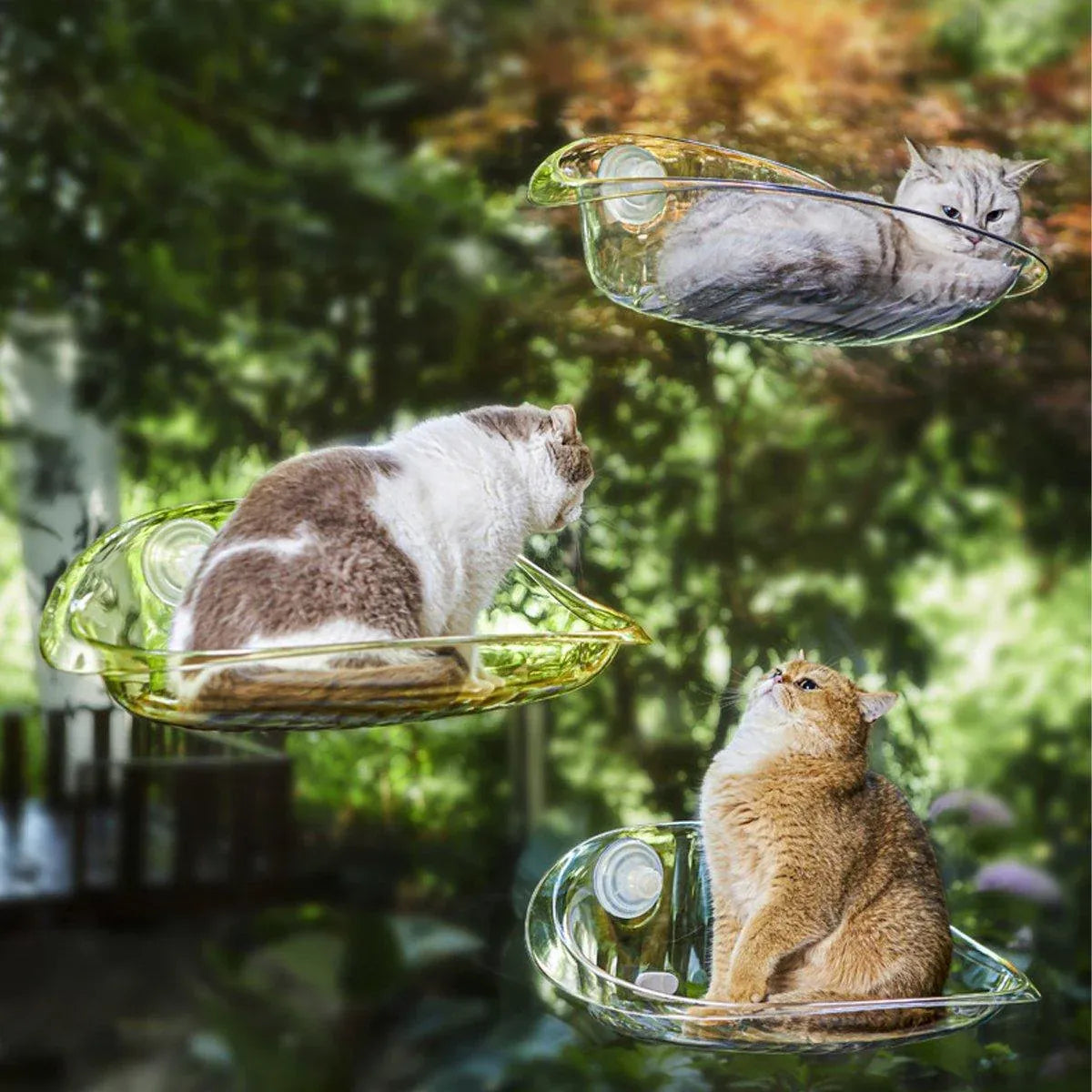 Cat Hammock Bed Glass Hanging Basket Clear Pet Nest Elevated Sleeping Bed - White