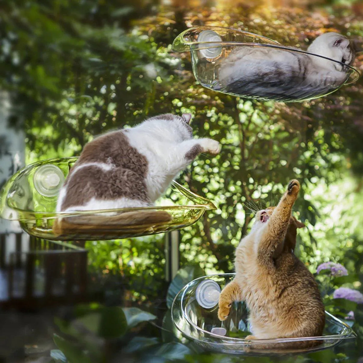 Cat Hammock Bed Glass Hanging Basket Clear Pet Nest Elevated Sleeping Bed - White