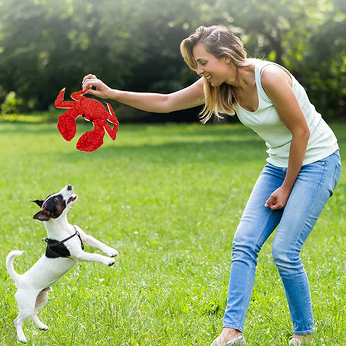 Pet Dog Toys Interactive Plush Dog Toys Durable for Puppy Small Dogs Bite Play