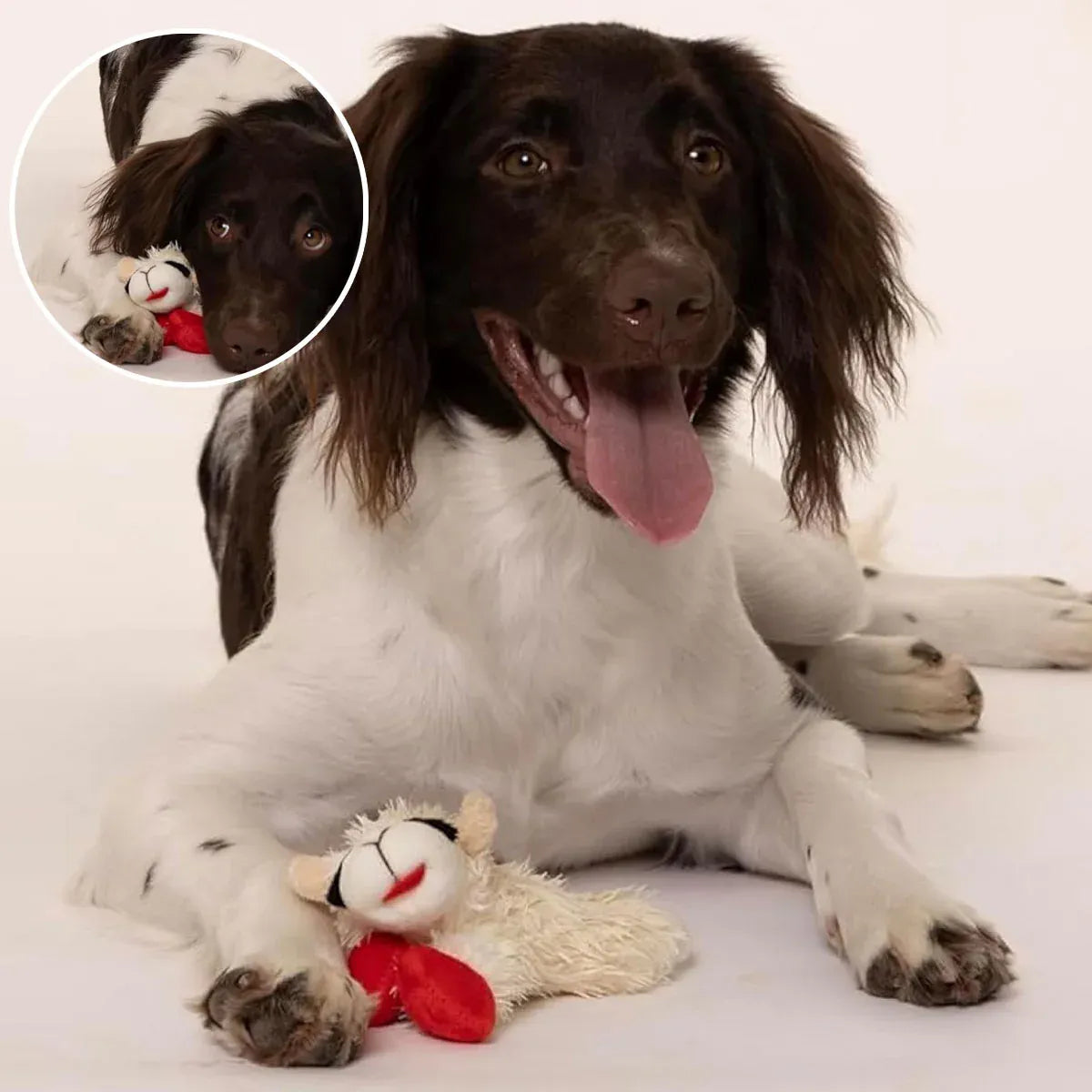 Lamb Shape Dog Toy Soft Plush Chew Toy for Puppy Small Dogs Squeaky Play Pet
