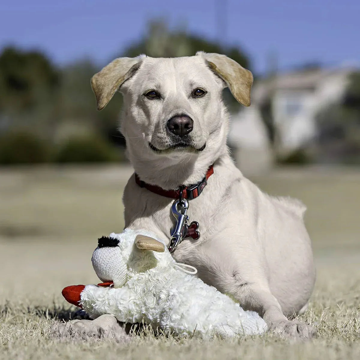 Lamb Shape Dog Toy Soft Plush Chew Toy for Puppy Small Dogs Squeaky Play Pet