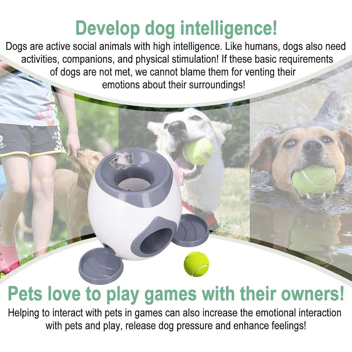 Interactive Dog Toy Tennis Feeder Machine for Training and Treat Rewards - Green