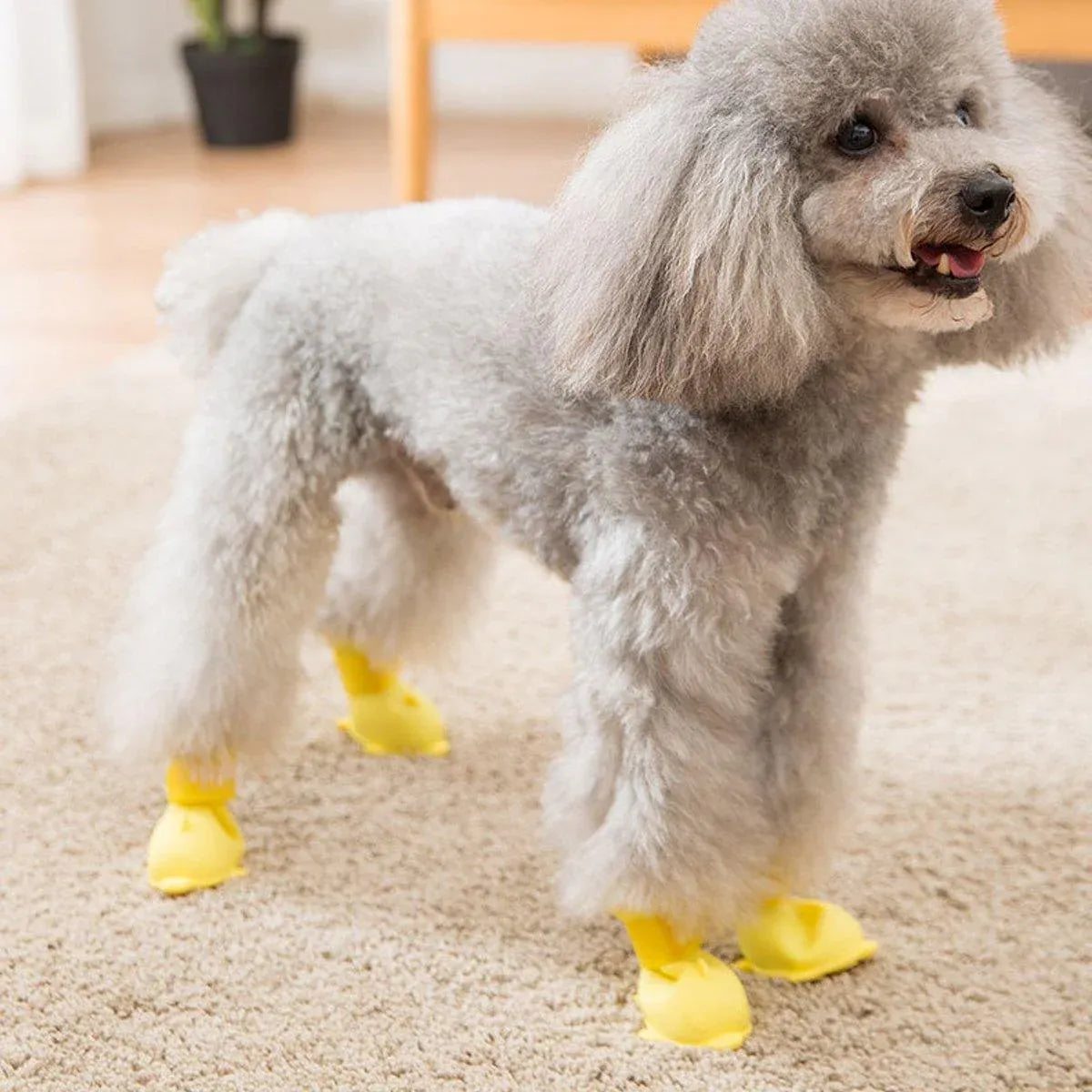 4pcs Cartoon Pet Rain Boots Waterproof Non-Slip Wear-Resistant Shoes for Dogs - Blue - S