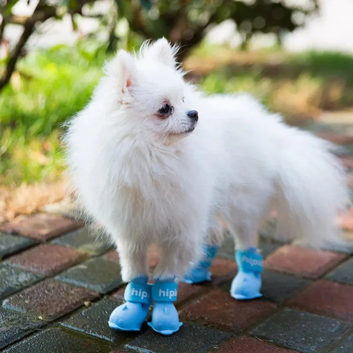 4pcs Cartoon Pet Rain Boots Waterproof Non-Slip Wear-Resistant Shoes for Dogs - Pink - M