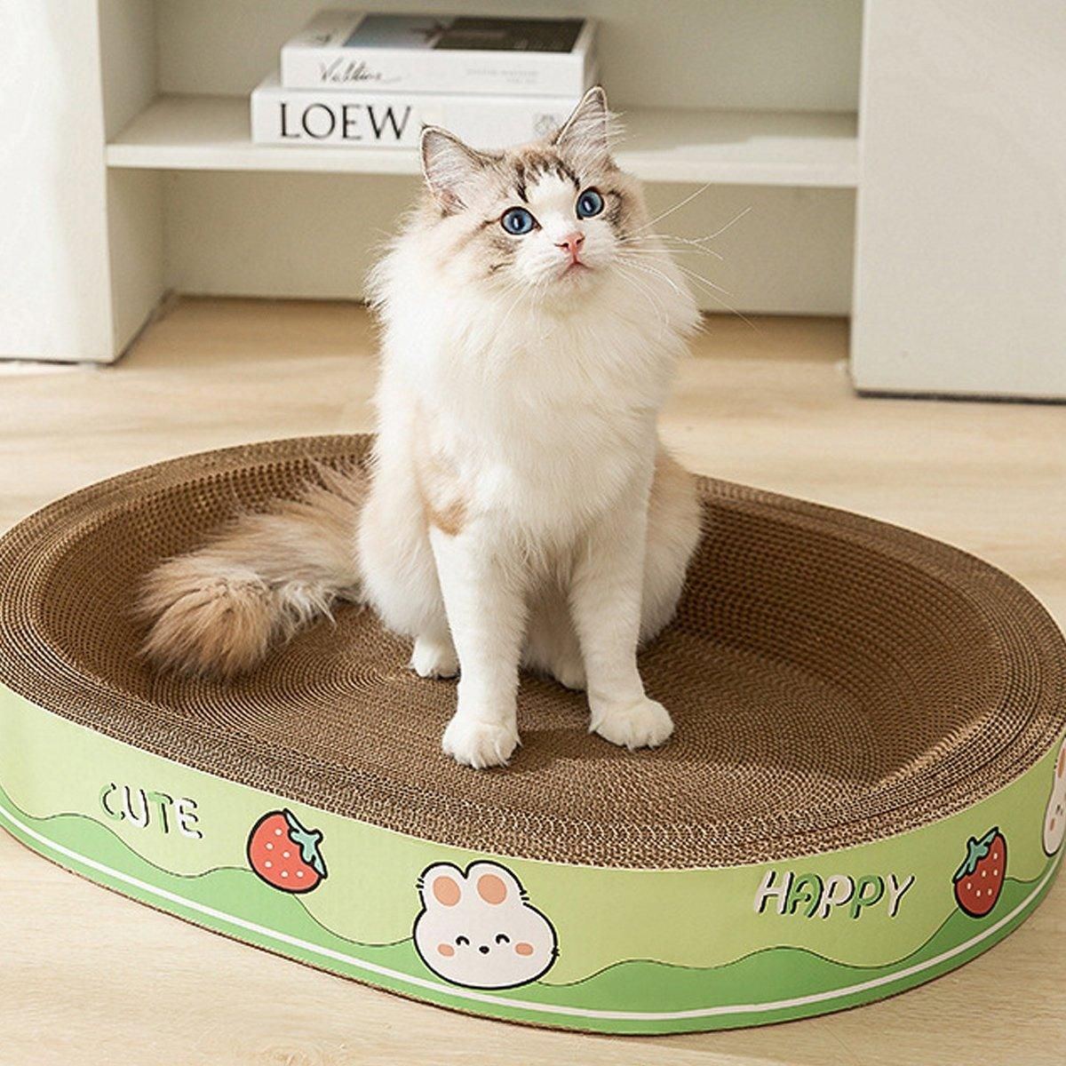 Extra-Large Oval Cat Scratching Board Durable Pet Toy Cat Kittens Wear Resistant - Bear