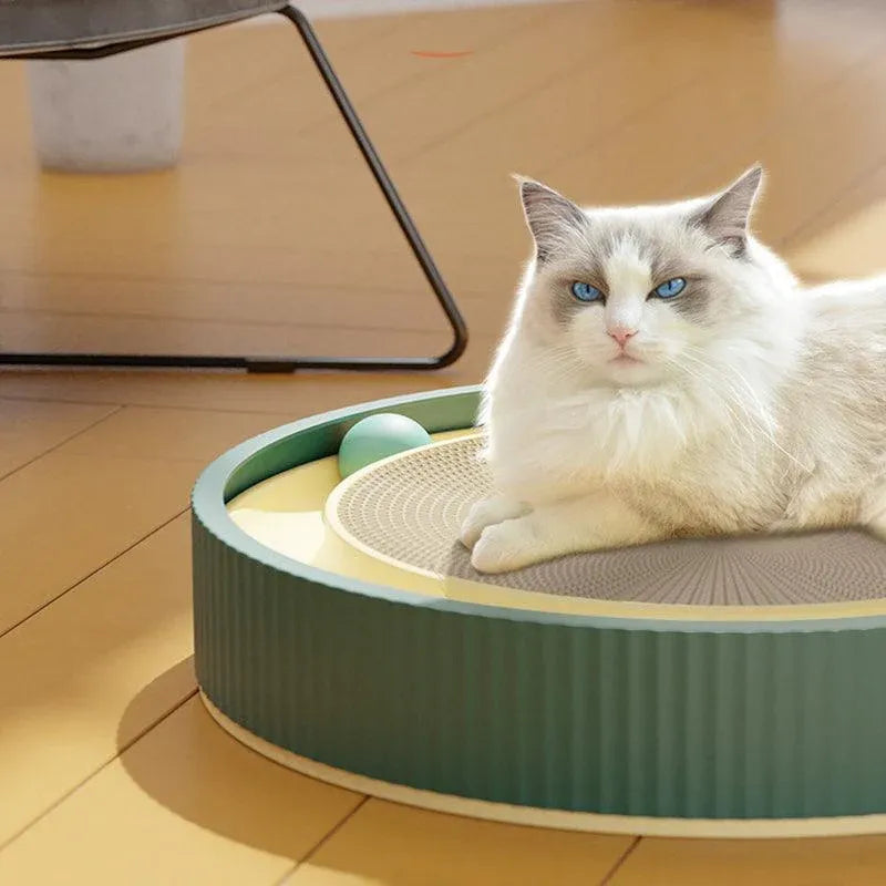 Cat Scratcher Lounge Bed Toy 40cm Round Foldable Cardboard Pad with Ball Track - Blue