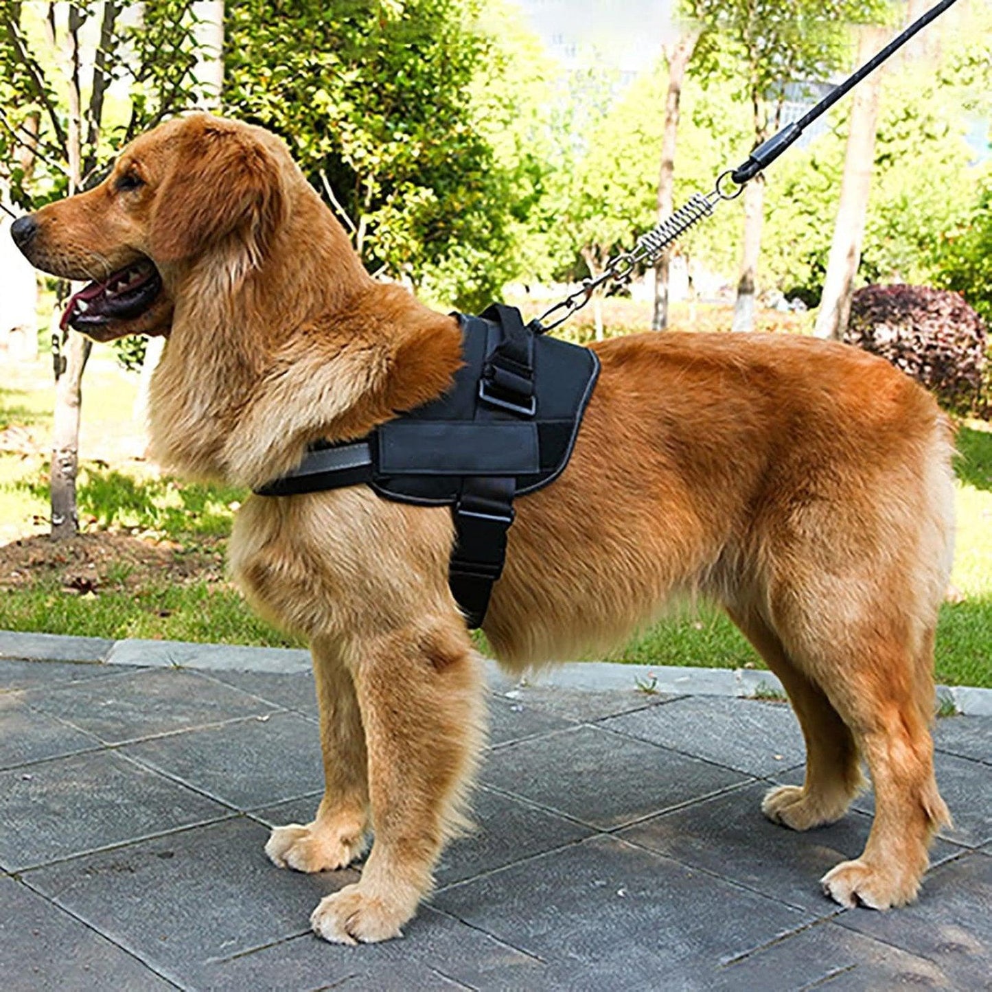Adjustable Dog Vest Harness for Small Medium Dogs Comfortable No Pull Design - Camouflage-L